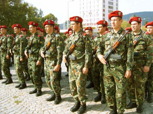 Българските военни най-стабилни психически 