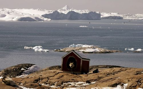 Болшинството жители на Гренландия гласуваха за автономия