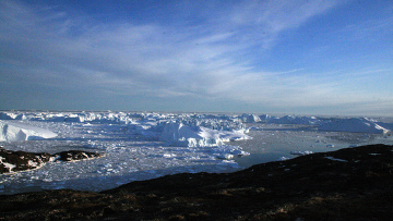 НАСА издирва 90 гумени патета в Гренландия