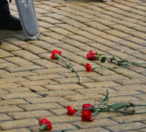 Карамфили пред парламента в памет на демокрацията 