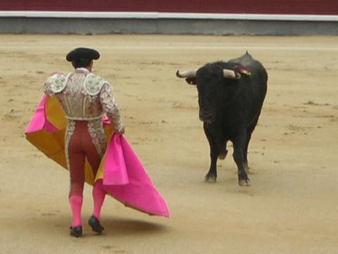 В Испания клонират бик за корида