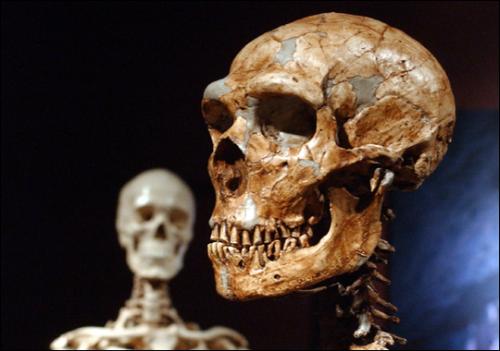 Неандерталците можели да говорят