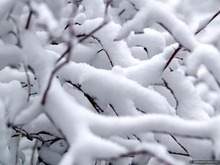 Изкуствено предизвикан сняг откъсна Пекин от съседните градове