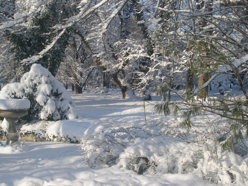 Снегът блокира Пловдив и областта, 12 села без ток и вода