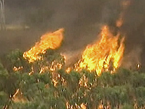 В Австралия отбелязват ден на траур за жертвите на пожарите
