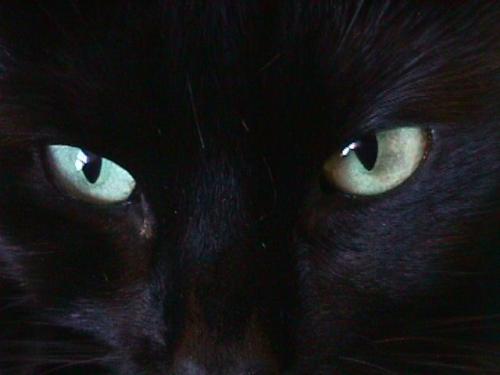 Китайче вижда в тъмното, очите му светят като на котка