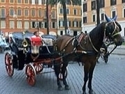 Гонят каляските с коне от историческия център на Рим
