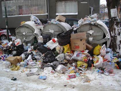 ДСБ иска кризисен щаб за боклука в София