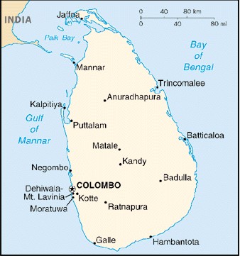 Министър ранен при експлозия в Шри Ланка