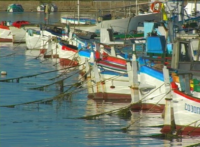 Четири рибарски пристанища правим до 2013 година