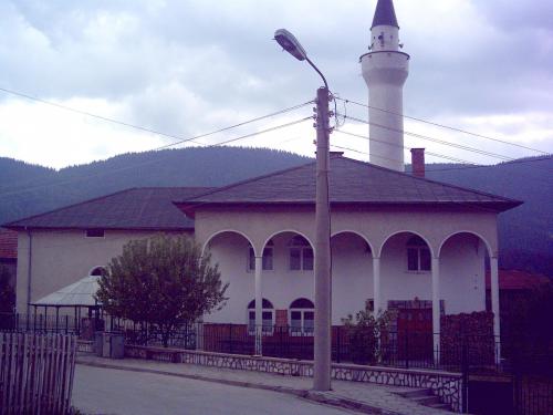 Проверки на инспектората не потвърдили фундаментален ислямизъм в Рибново 