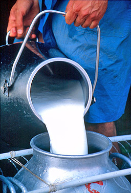 Млекопроизводителите ще протестират на 25 март