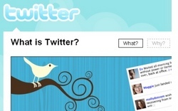 Twitter е най-бързо растящата мрежа в САЩ
