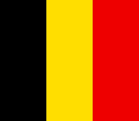 Двойка инвалиди убити в Белгия