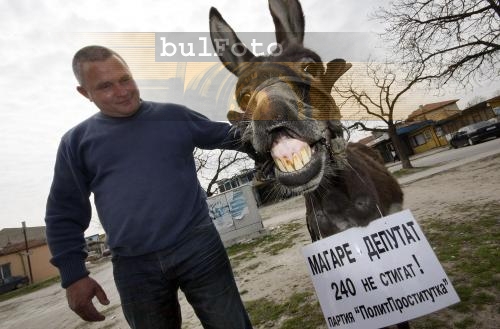 Росен Марков издигна кандидатурата на магаре за депутат 