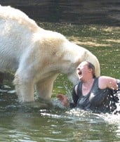 Бяла мечка нападна жена в зоопарк