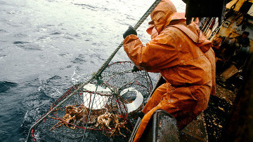 Френските власти предложиха 4 млн. евро на стачкуващите рибари