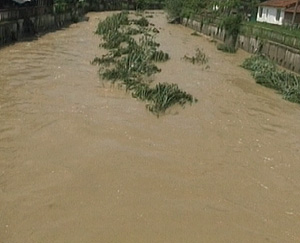 Проливен дъжд в Ловешко наводни мазета, реки преляха