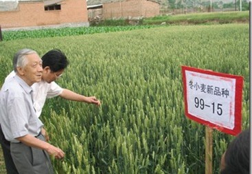Китай инвестира в селското стопанство 9.5 млрд. долара
