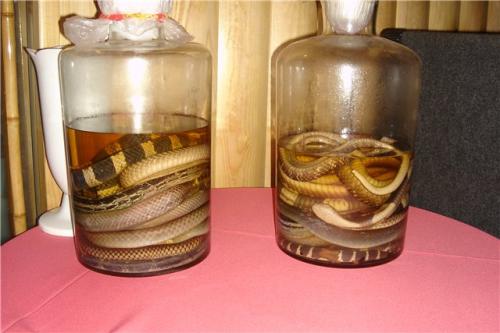 Змия оцеля 2 месеца в бутилка с водка