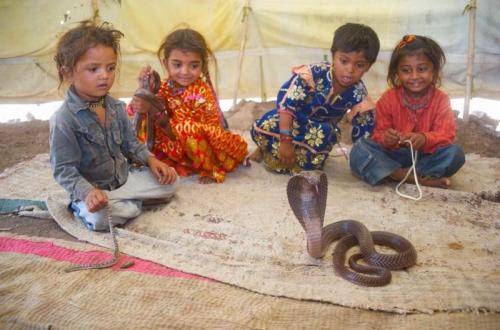 2-годишни тръгват на училище за укротители на змии