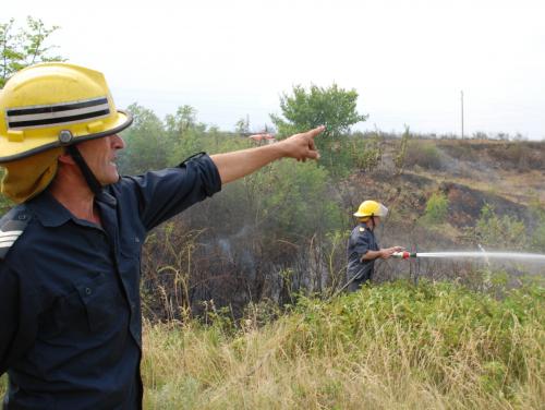 Испански арендатор изгоря с над 100 дка пшеница 