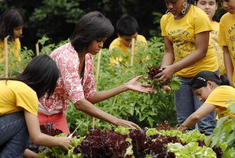 Мишел Обама събра 40 кг реколта от градината в Белия дом