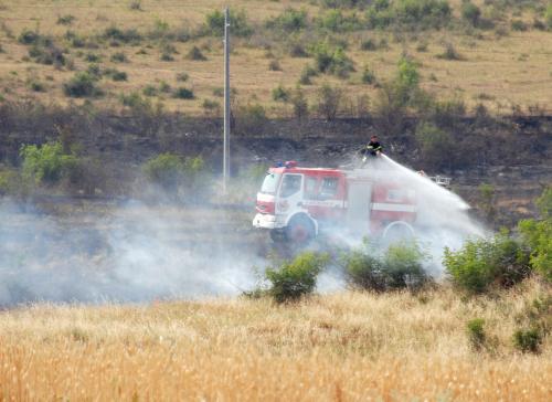 Испански арендатор изгоря с над 100 дка пшеница 