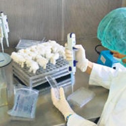 Първи случай на A/H1N1 в Сърбия