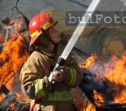 Изгоряха  пет камиона и лек автомобил край Ловеч 