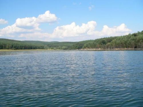 Две деца се удавиха в язовир край Костенец