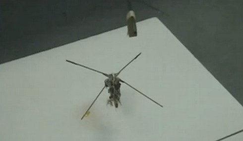 Робот-колибри ще изпълнява шпионски мисии