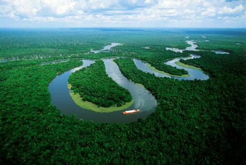 Амазонка е възникнала преди 11,8 млн. години