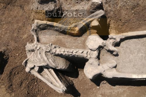 Скелет на насечен човек откриха край Нова Загора 