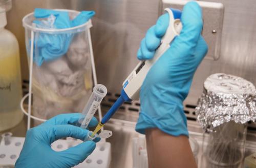 500 нови случая на свински грип в Германия