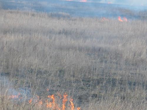 Пожар бушува край Стара Загора