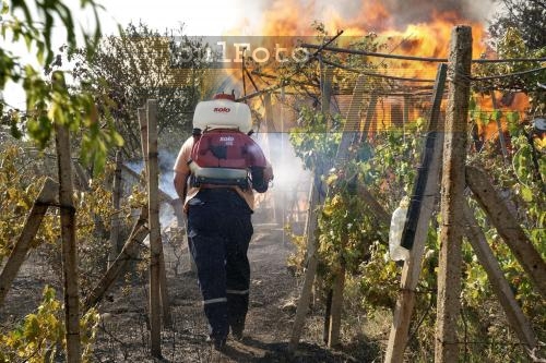 Пожарът край Стара Загора е ликвидиран 