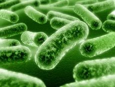 Учени откриха принципно нов антибиотик