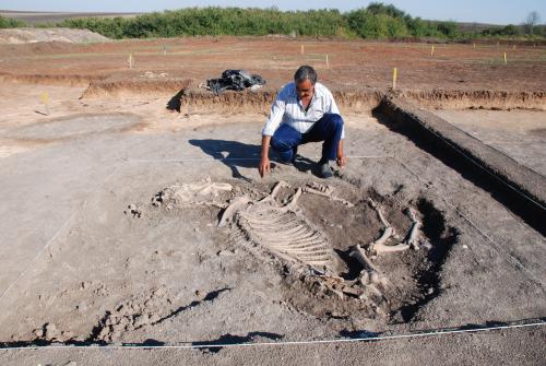 Откриха останки от църква и скелет на жертвен кон