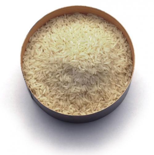 Ядем генномодифициран ориз
