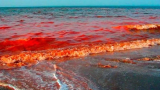 Червен кошмар в Мраморно море, наред е Черно море