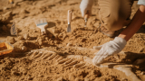 Археолозите са смаяни: Гигант е живял край Дебелт СНИМКИ