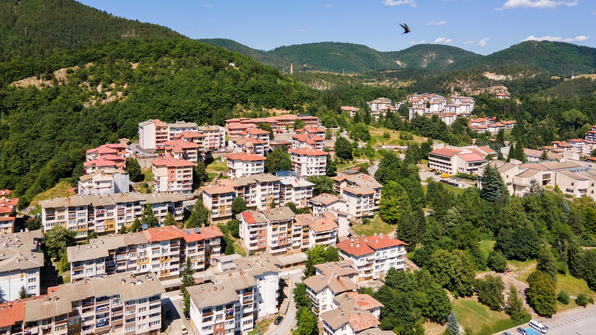 В Смолянско хващат тоягите: Те ще ликвидират България!