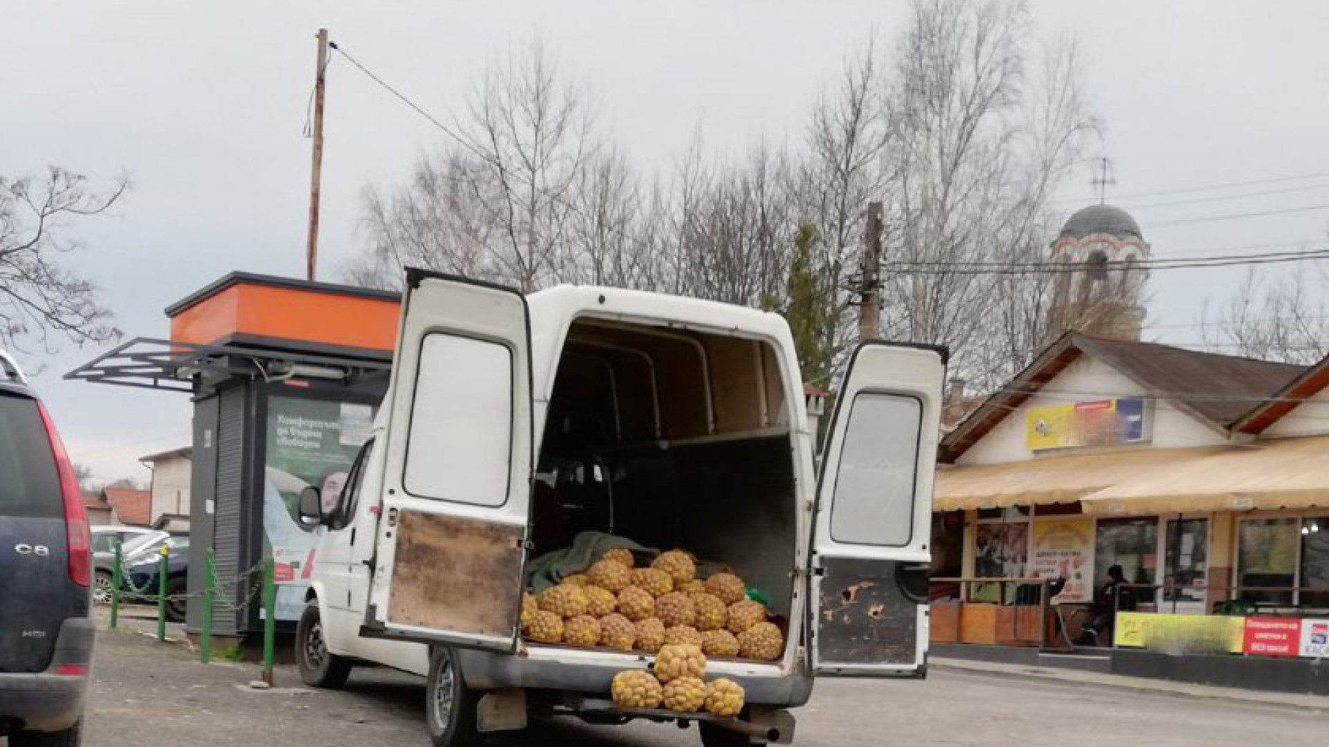 "Убиха" стопанина: Ужасяващи новини от Родопите за картофите и... СНИМКИ