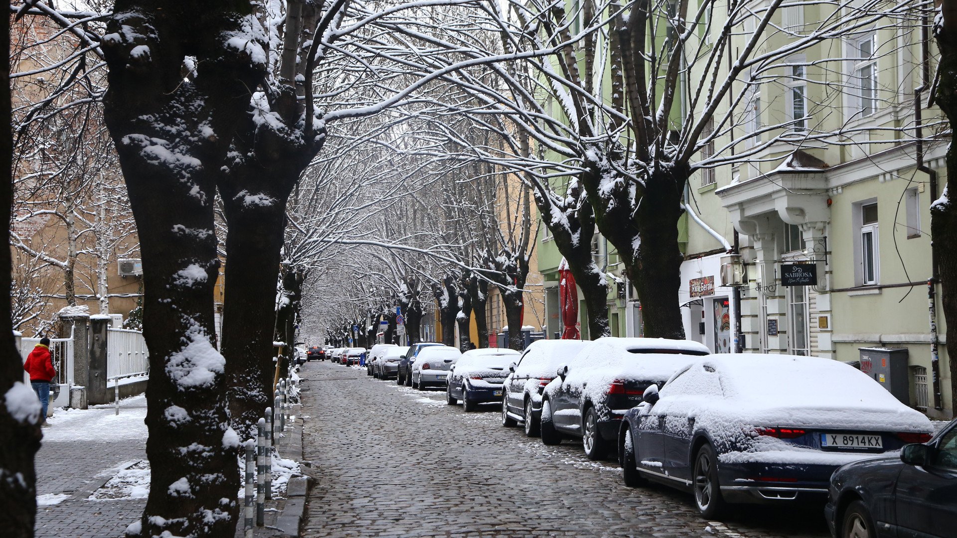 Meteo Balkans ни смрази със седмичната прогноза, до дни идат сняг и студ