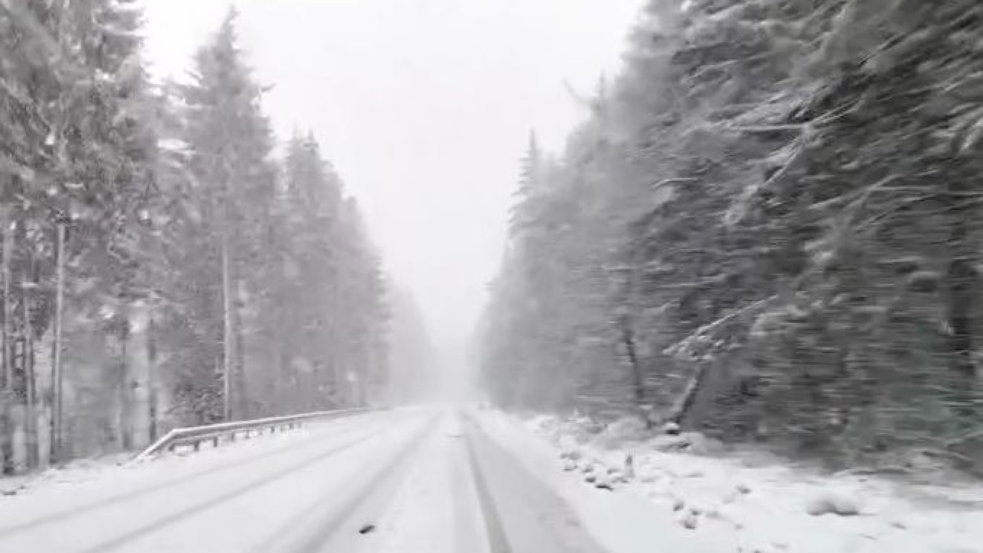 България в момента: На Петрохан виелица, а Пловдив цъфти ВИДЕО