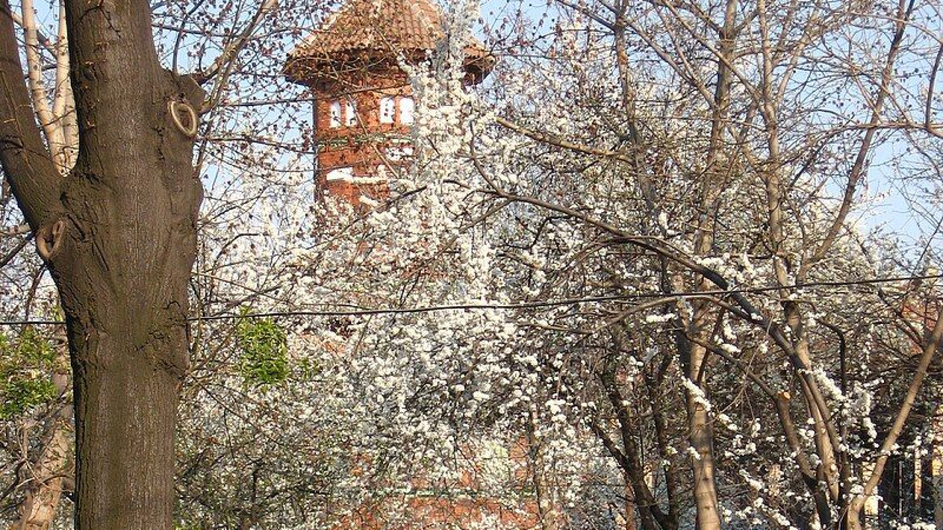 Прелест! Няма да повярвате къде се намира най-малката катедрала в света