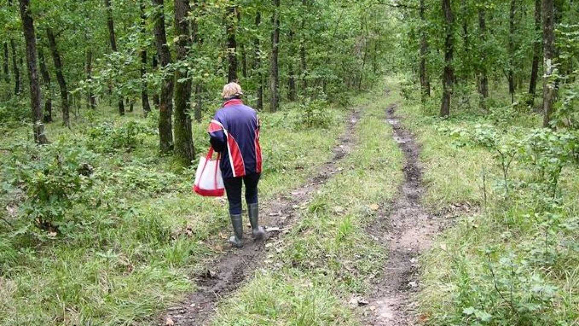 Селяни гледат и не вярват на очите си, такова чудо не се вижда всеки ден СНИМКА