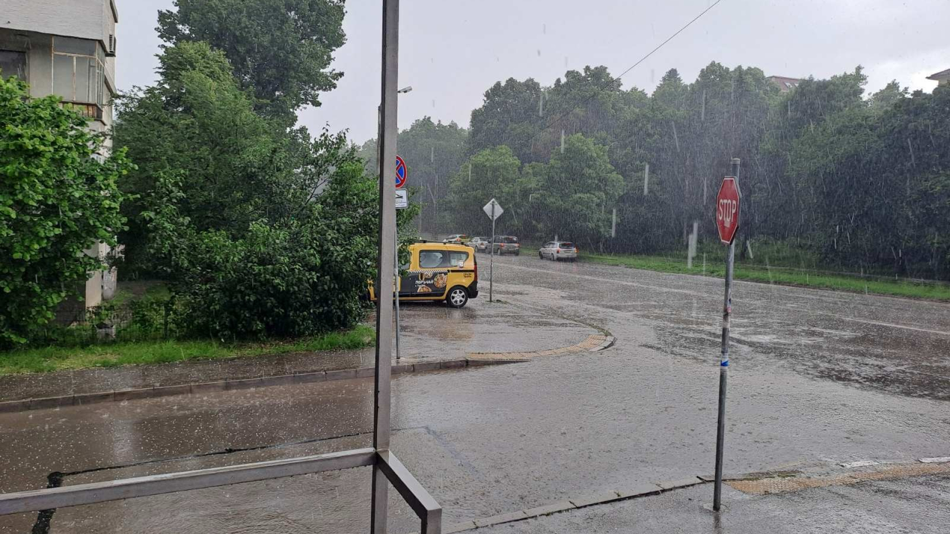 Потоп: Градушка като орех обрули столични квартали, под вода са... ВИДЕО