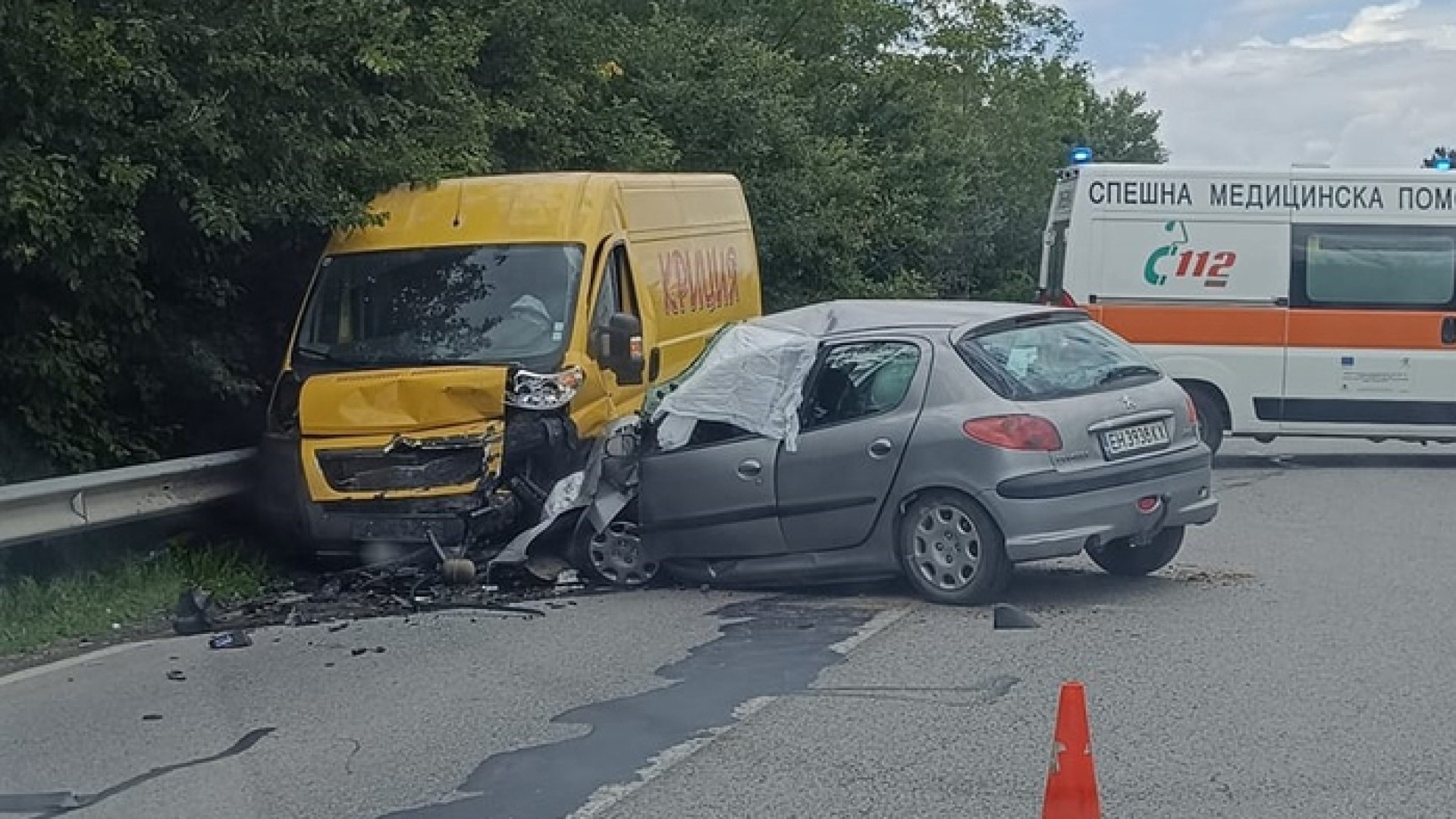 Жестока трагедия край Плевен